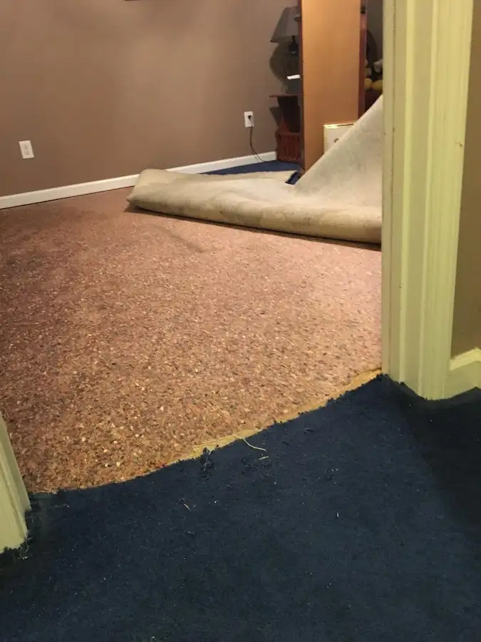 Carpet pad removal revealing water damage during Water Mitigation Services in Linton