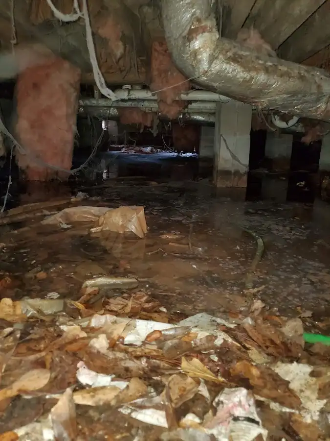 Crawl space flood assessment for Leak Detection & Repair in Linton