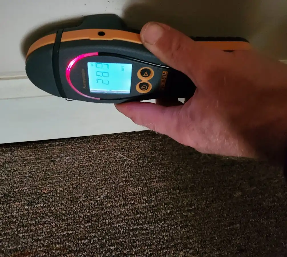 Moisture detection at baseboard during Sewage Cleanup & Sanitation in Linton
